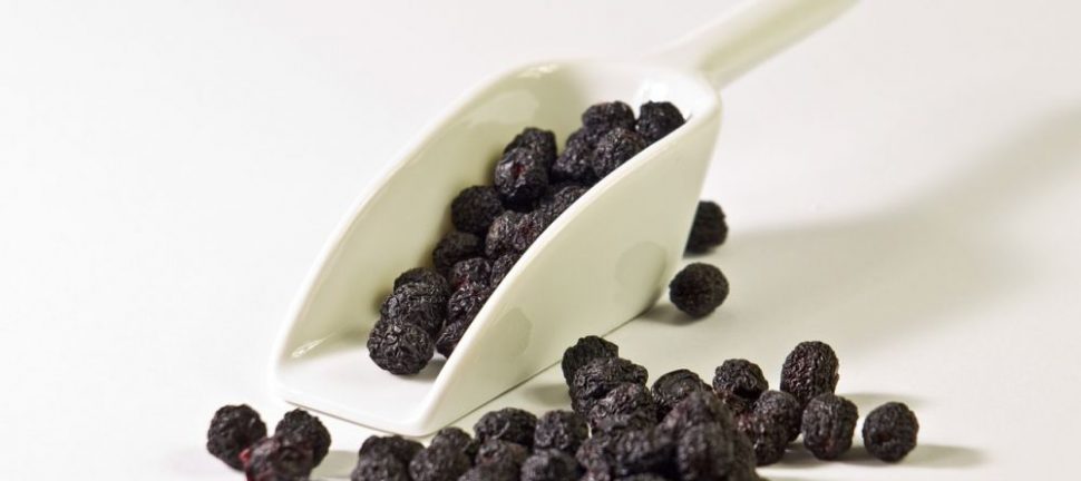 Aronia produkter: Naturens kraftfulde bær